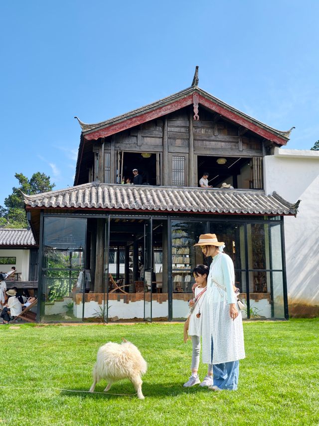 麗江5天4晚親子遊！不累媽不高反攻略