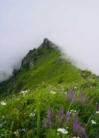 小舞台山旅遊攻略
行程概覽
小舞台山位於深圳南山區(座標22.5445°N,113.9875°E