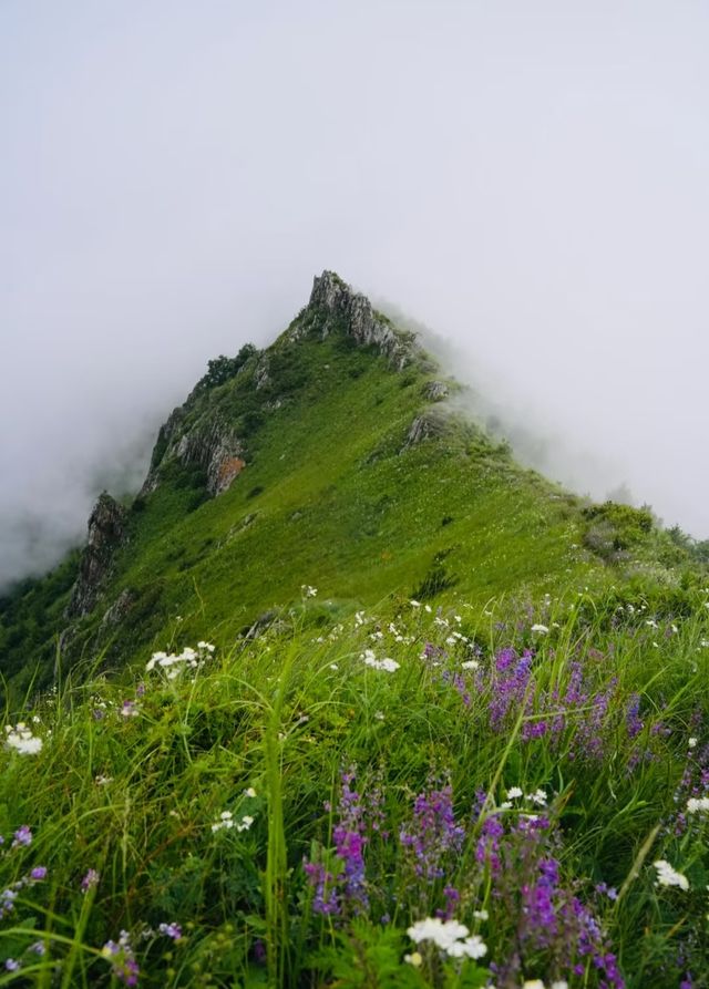 小舞台山旅遊攻略
行程概覽
小舞台山位於深圳南山區(座標22.5445°N,113.9875°E 小舞台山旅遊攻略
行程概覽
小舞台山位於深圳南山區(座標22.5445°N,113.9875°E