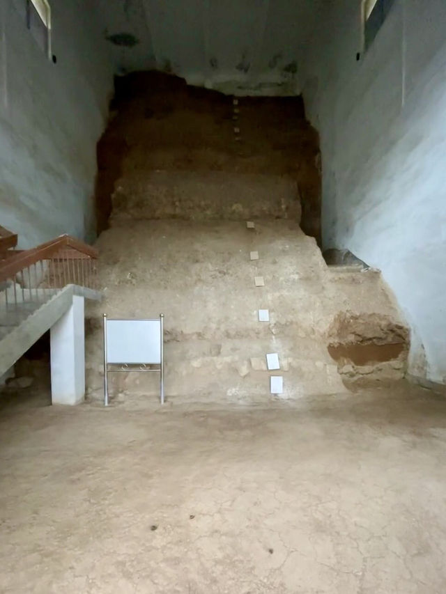 遠古回聲——藍田猿人遺址的時空旅程