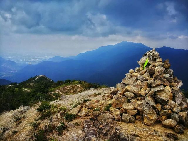 大南山最美高山草甸