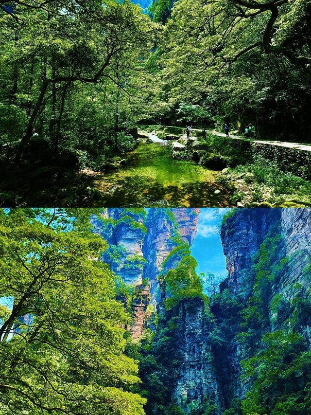 3天2夜玩轉武陵源！阿凡達同款仙境保姆級攻略