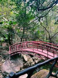 Bamboo trails, mountain air, and a zipline through the clouds — Guangzhou escape!
