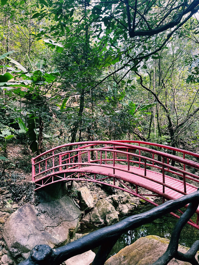 Bamboo trails, mountain air, and a zipline through the clouds — Guangzhou escape!
