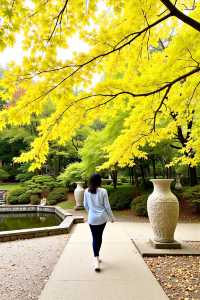 秋遊日本必打卡！日光紅葉季絕景大公開