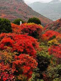石門坊賞紅葉，邂逅秋日浪漫