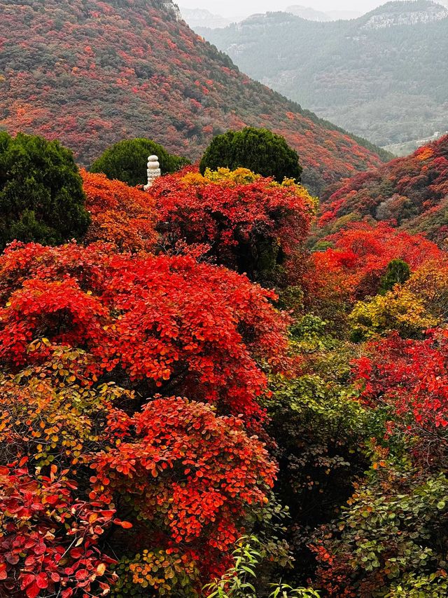 石門坊賞紅葉，邂逅秋日浪漫