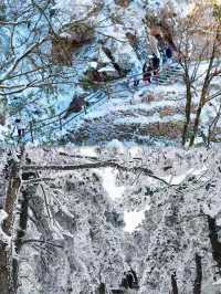 廬山霧淞雪景全攻略南方人也能get北國風光！