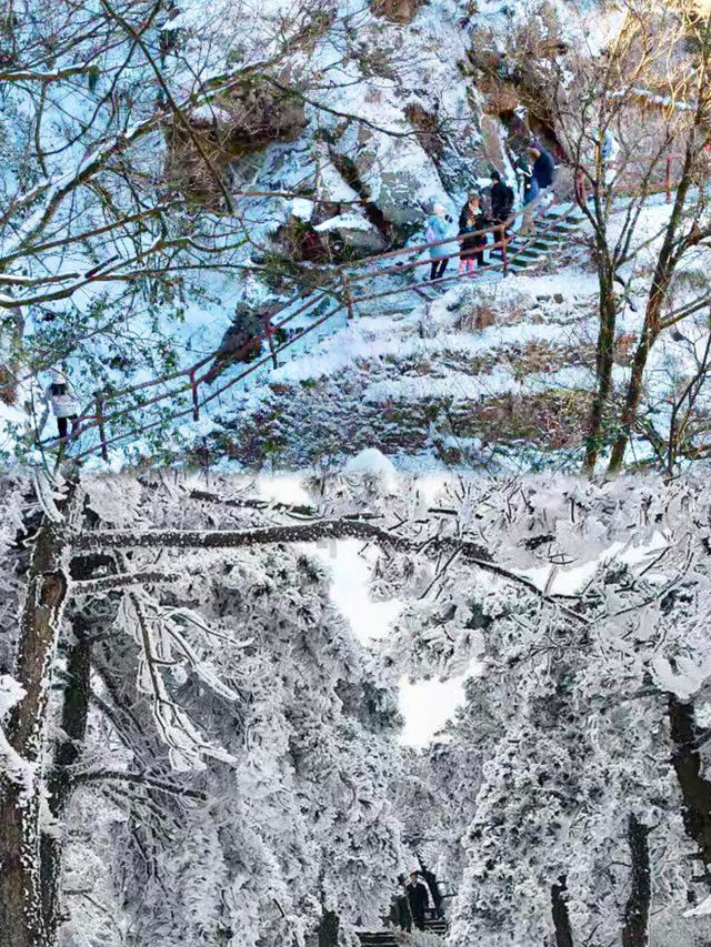 廬山霧淞雪景全攻略南方人也能get北國風光！