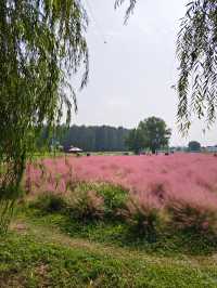 南京江心洲遛娃|真的已經到了next level