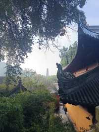 心心念念的國清寺！