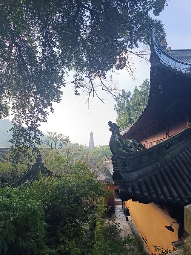心心念念的國清寺！