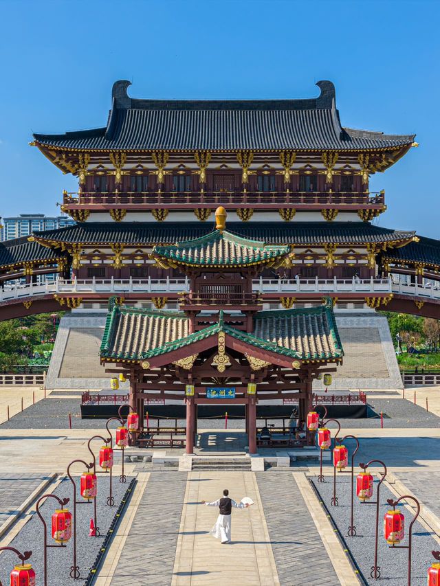 為了這18張照片…我特意飛了一趟洛陽