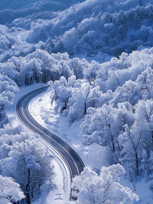亞雪公路裹雪帶鬆如絲帶，一路風光醉人心