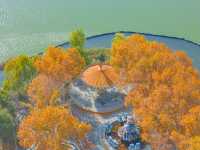 南京玄武湖公園拍照打卡，秋天來這裡感受湖邊的溫柔。