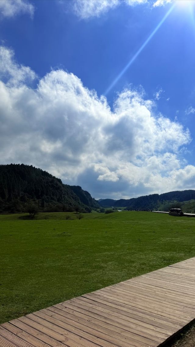 重慶周邊遊|武隆仙女山「小瑞士」秋日童話攻略 重慶周邊遊|武隆仙女山「小瑞士」秋日童話攻略