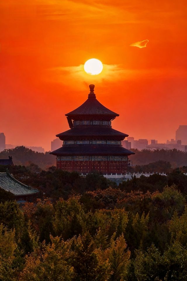北京的秋天是中式美學的巔峰之作！！