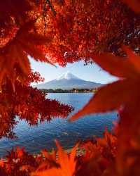 日本賞楓季全攻略一鍵get絕美紅葉觀賞期!