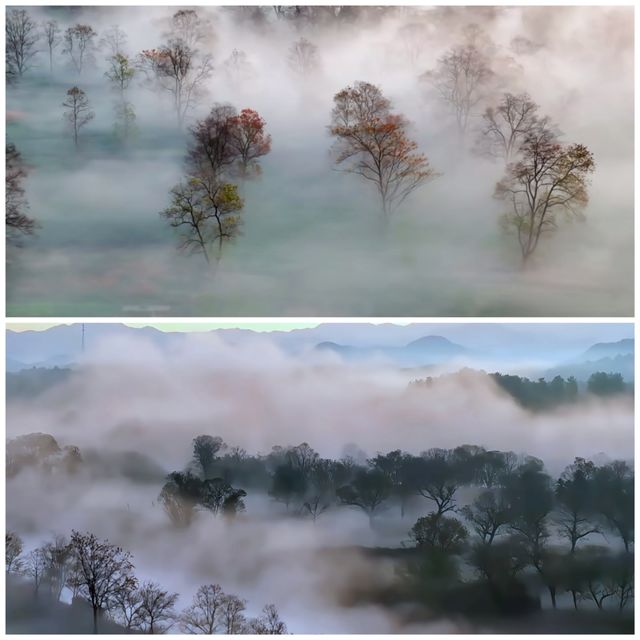 黃山溪洲里風景真的好像山水畫,流連忘返 黃山溪洲里風景真的好像山水畫,流連忘返