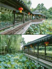 紹興稷山園｜市區裡的治癒系角落