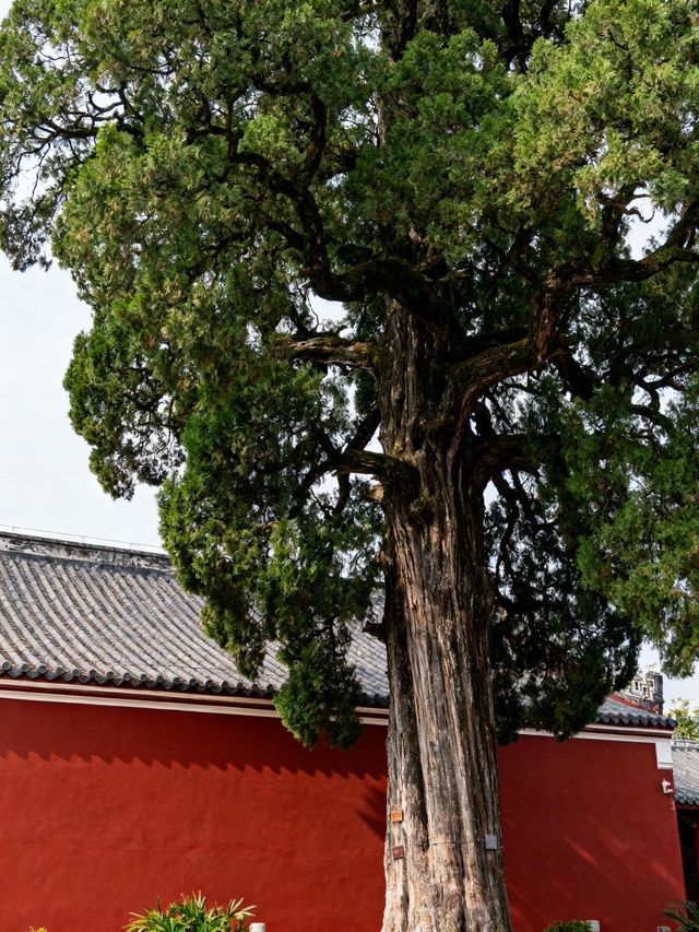 韶關東華禪寺一日遊攻略這份避坑指南收好! 韶關東華禪寺一日遊攻略這份避坑指南收好!
