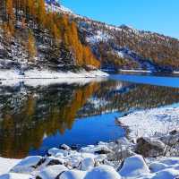 🇮🇹이탈리아 알페 데베레오, 야생 여우와의 뜻밖의 만남 🦊