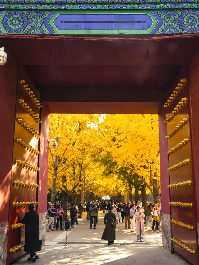 11.4實拍！不愧是頂流！地壇今天殺瘋了