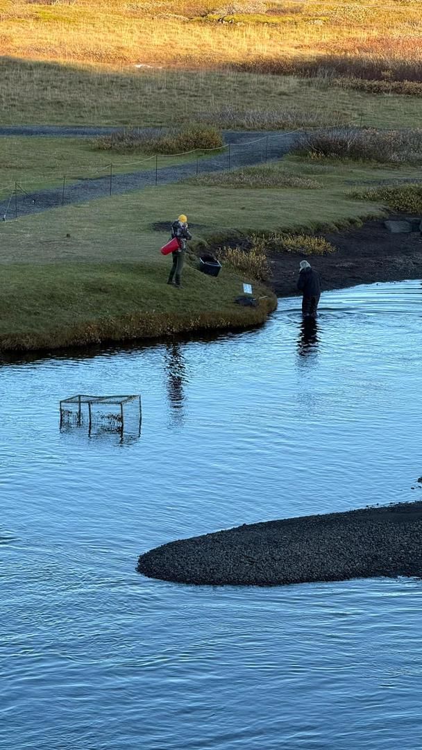 值得30小時飛行時間的風景 值得30小時飛行時間的風景