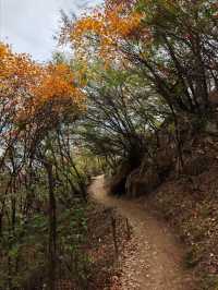 秋日圭峰山徒步攻略