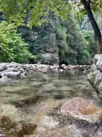 張家界4天包車遊攻略|超全必看