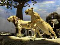 【上海自然博物館·萬物皆可見】超萌攻略來啦！