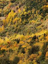 秋色限定牛背山私藏小團，2-8人暢玩雲端仙境！