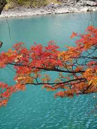 11月松坪溝美到窒息！彩林映碧水，一天才花130元！