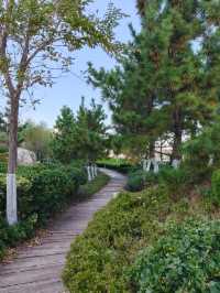 超chill的煙台躺平攻略這家海景酒店真的讓我實現了"面朝大海，春暖花開"的夢想！  這次在煙台