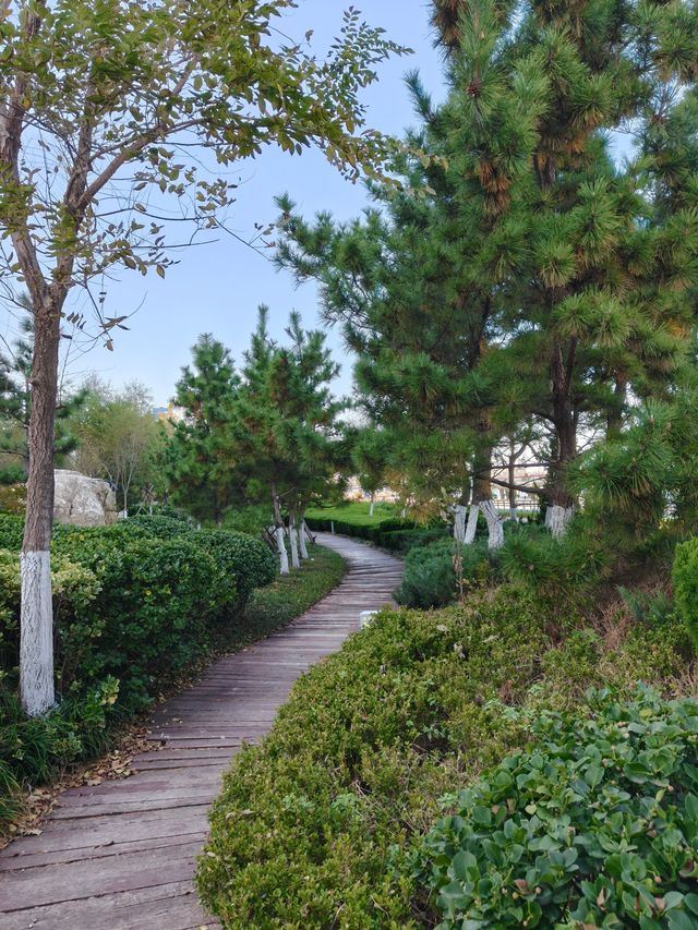 超chill的煙台躺平攻略這家海景酒店真的讓我實現了"面朝大海，春暖花開"的夢想！  這次在煙台