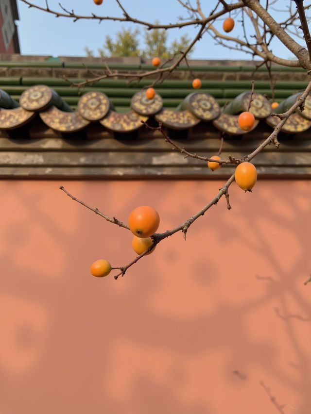 甘肅絕美秘境發現隴版小九寨,人少景靚唔使驚! 甘肅絕美秘境發現隴版小九寨,人少景靚唔使驚!