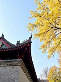 挖到寶喇！甘肅呢個小眾森林公園，影相靚過收費景點！