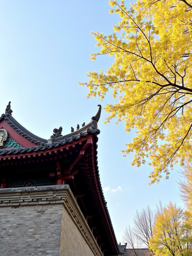 挖到寶喇！甘肅呢個小眾森林公園，影相靚過收費景點！