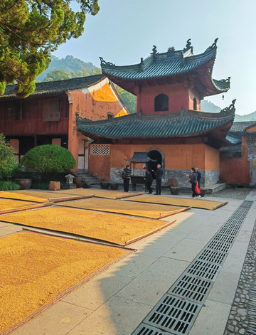 佛教祖庭：天台山國清寺｜Trip.com 天台縣