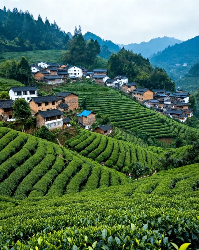 《國家地理》點名的“四川最美村落〞|“小喀納斯〞般的湖光山色