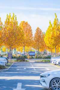 偷得浮生半日閒王屋山秋遊全攻略|附免費景點打卡點