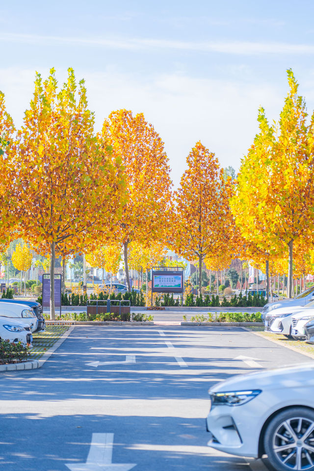 偷得浮生半日閒王屋山秋遊全攻略|附免費景點打卡點 偷得浮生半日閒王屋山秋遊全攻略|附免費景點打卡點