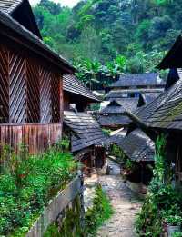 北回歸線的綠洲上,邂逅茶香與咖啡香