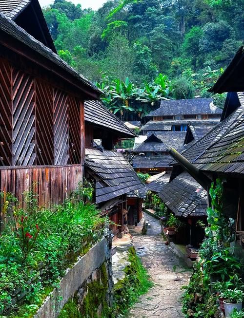 北回歸線的綠洲上,邂逅茶香與咖啡香 北回歸線的綠洲上,邂逅茶香與咖啡香