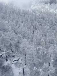 達古冰川旅遊攻略