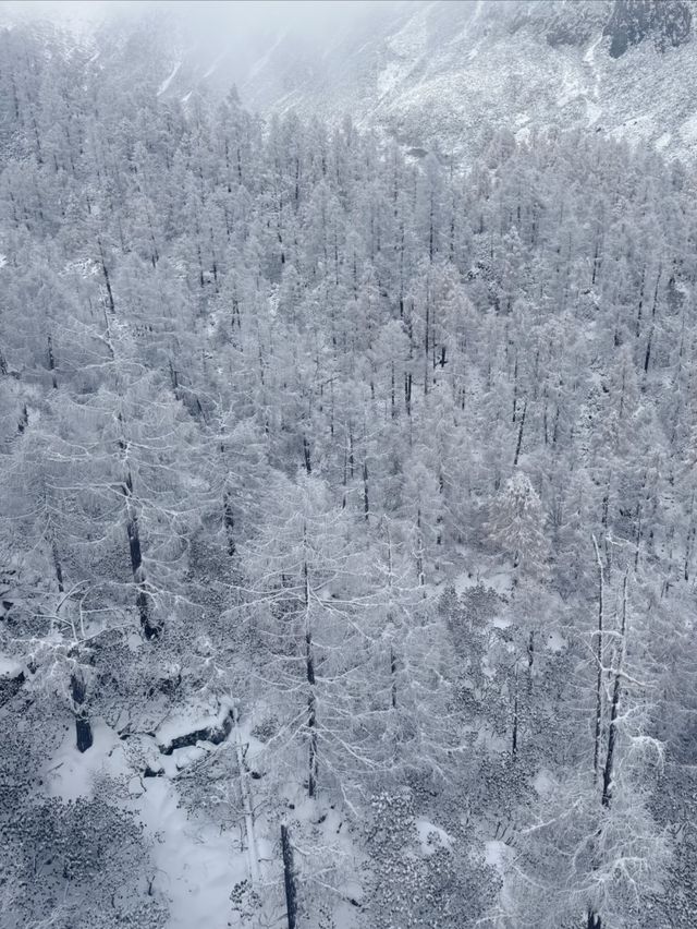 達古冰川旅遊攻略