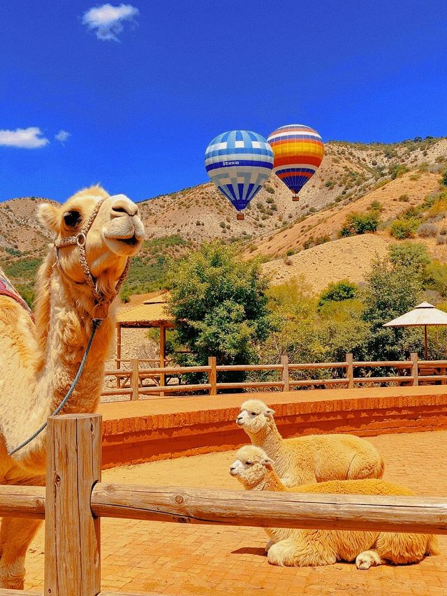 秋遊水墨丹霞,天然油畫 秋遊水墨丹霞,天然油畫