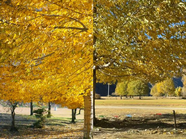 川西秋日秘境指南 川西秋日秘境指南