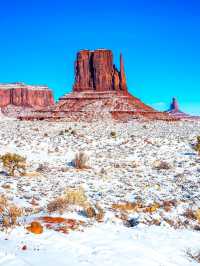 不趕路暢玩國家公園!美西定制包車路線可調