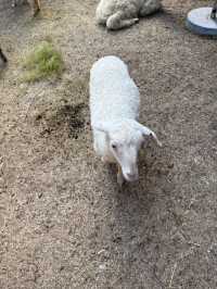 佛山 / 嶺南天地